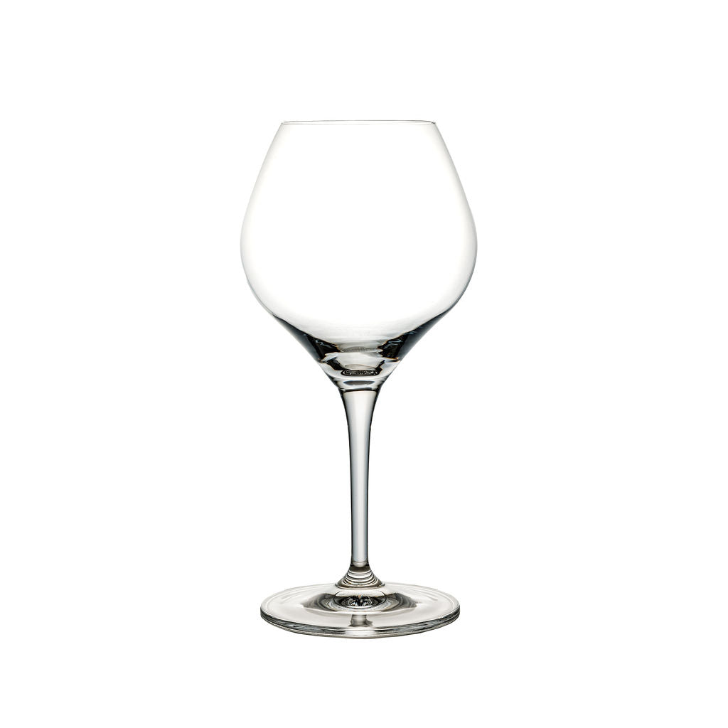 Amoroso Glassware image 1