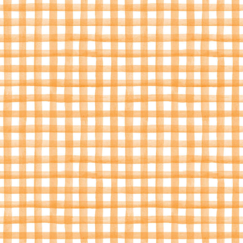 Orange, Gingham