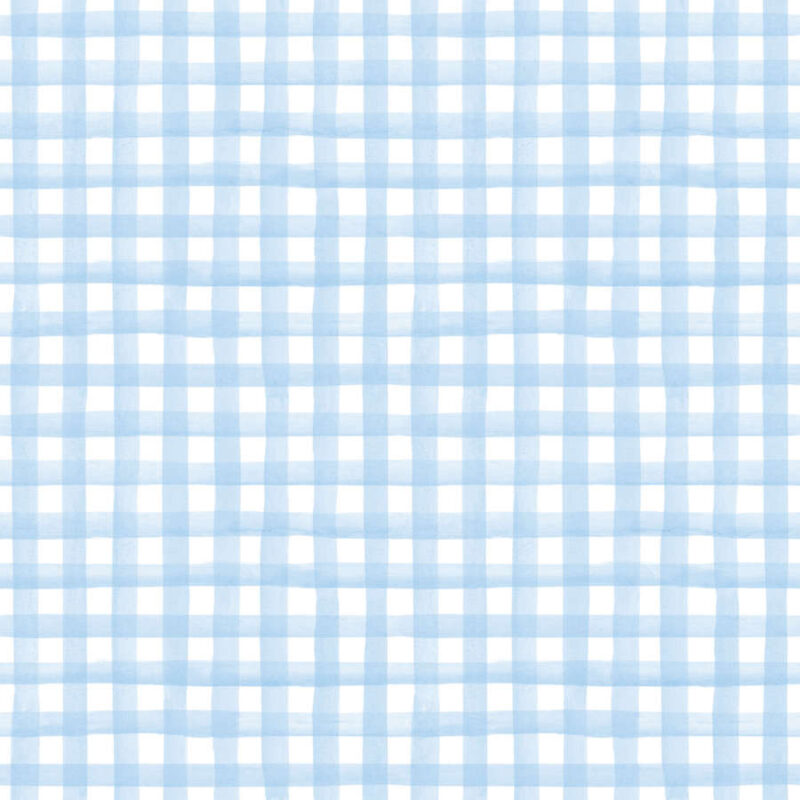 Pale Blue, Gingham